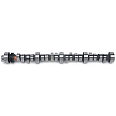 Edelbrock Camshaft 2221