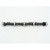 Crane Camshaft 10011