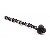 Crane Camshaft 1020641