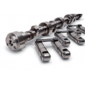 Edelbrock Camshaft/ Lifter/ Pushrod Kit 22096