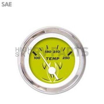 Aurora Instuments Gauge Water Temperature 3012