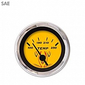 Aurora Instuments Gauge Water Temperature 3021