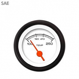Aurora Instuments Gauge Water Temperature 3048