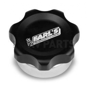 Earl's Plumbing Fuel Cell - 166018