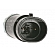 Standard Motor Eng.Management Oil Pressure Switch PS236