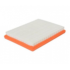 Fram Air Filter - CA9838