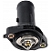 Dorman (OE Solutions) Thermostat Housing 9023039