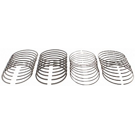 Mahle/ Clevite Piston Ring Set - 41909.020