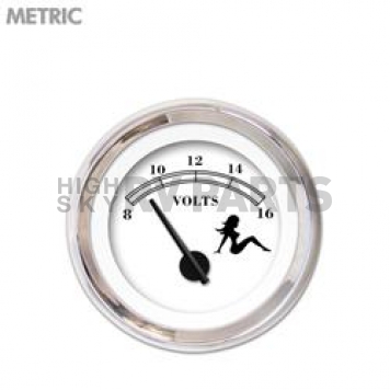 Aurora Instuments Gauge Voltmeter 5188