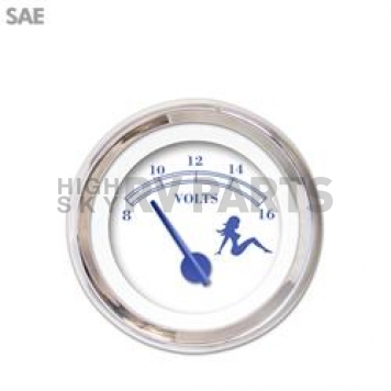 Aurora Instuments Gauge Voltmeter 1568
