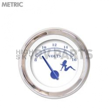 Aurora Instuments Gauge Voltmeter 5199