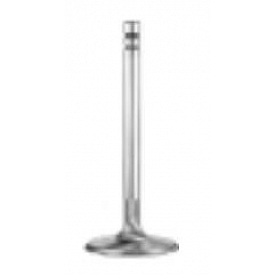 Manley Performance Intake Valve - 10554-1