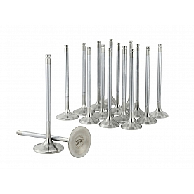 Skunk 2 Intake and Exhaust Valve Set - 310-05-1310