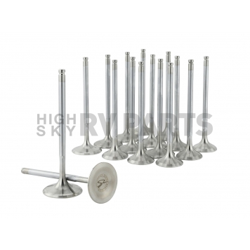 Skunk 2 Intake and Exhaust Valve Set - 310-05-1310