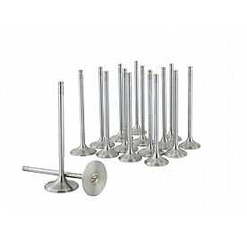 Skunk 2 Intake and Exhaust Valve Set - 310-05-1320