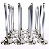 Skunk 2 Intake and Exhaust Valve Set - 310-05-1535