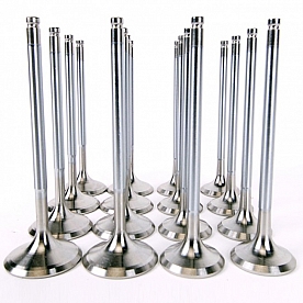 Skunk 2 Intake and Exhaust Valve Set - 310-05-1535