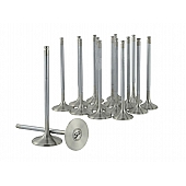 Skunk 2 Intake and Exhaust Valve Set - 310-05-1540