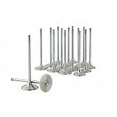 Skunk 2 Intake and Exhaust Valve Set - 310-05-9320