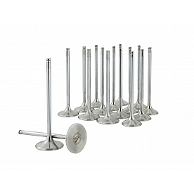 Skunk 2 Intake and Exhaust Valve Set - 310-05-9320