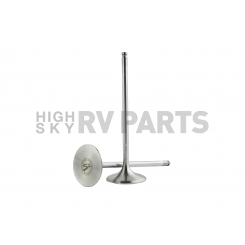 Skunk 2 Intake and Exhaust Valve Set - 310-05-9320-1
