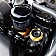 Mishimoto Oil Filler Cap - MMOFC-SUB-GD