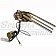 Spectra Premium Fuel Tank Sending Unit FG10C