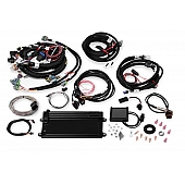 Holley  Performance Fuel Injection System - 550-613