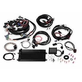 Holley  Performance Fuel Injection System - 550-613
