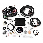 Holley  Performance Fuel Injection System - 550-606