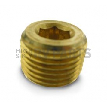 Air Lift Pipe Plug Fitting 21190