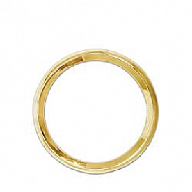 Aurora Instuments Gauge Bezel 865