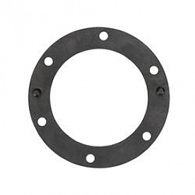 Carter Fuel Pump Gasket - PTS2010