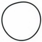 Carter Fuel Pump Gasket - PTS2020