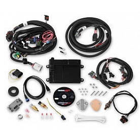 Holley  Performance Fuel Injection System - 550-606N