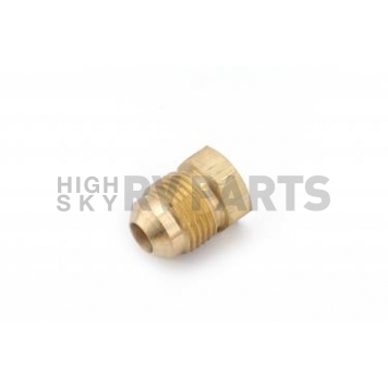 Anderson Fittings Fitting Plug/ Fitting Cap 70403904