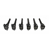 MSD Ignition Ignition Coil 827063