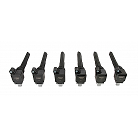 MSD Ignition Ignition Coil 827063