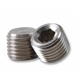 Earl's Plumbing Fitting Plug/ Fitting Cap SS593202