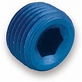 Earl's Plumbing Fitting Plug/ Fitting Cap 593204