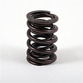 Crane Valve Spring - 9989316
