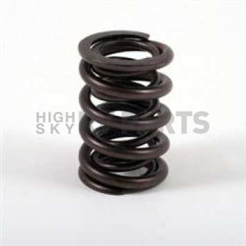 Crane Valve Spring - 9989316