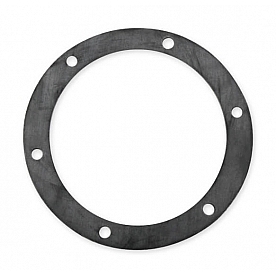 Earl's Plumbing Fuel Cell Filler Neck Gasket - 166G06
