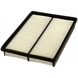 Fram Air Filter - CA9555