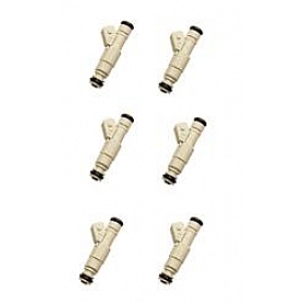 Fast Fuel Injector - 303606