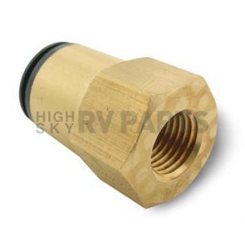 Air Lift Adapter Fitting 21869