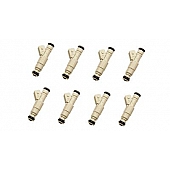 Fast Fuel Injector - 303608