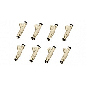 Fast Fuel Injector - 303608