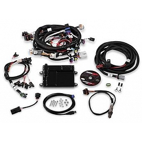 Holley  Performance Fuel Injection System - 550-607