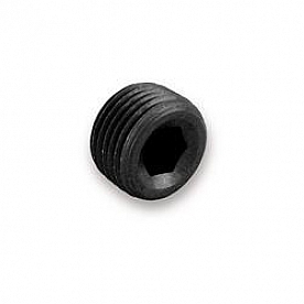Earl's Plumbing Fitting Plug/ Fitting Cap AT593201